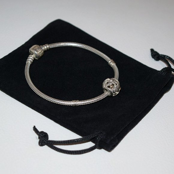 PANDORA Family Forever Charm I Sterling Silver with 14k Yellow Gold 791040 - Picture 14 of 15